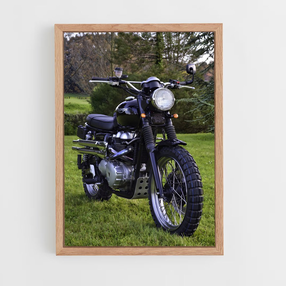 Poster Road Trip Spirit – affiche Triumph (vue 4)